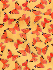 Einband Schmetterlinge IV